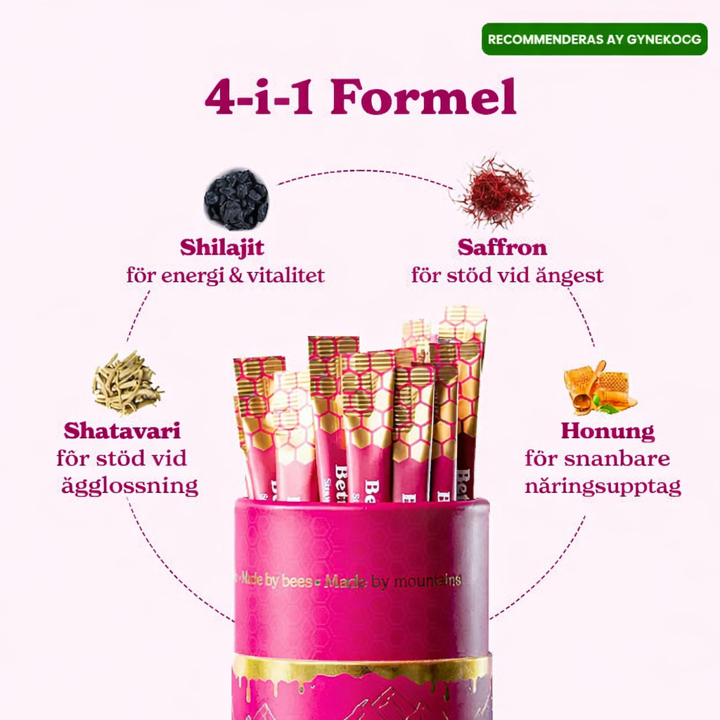 Shilajit Resin Sticks 30pcs